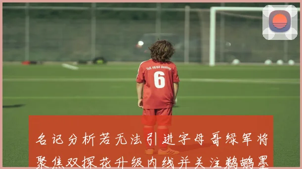 名记分析若无法引进字母哥绿军将聚焦双探花升级内线并关注鹈鹕墨菲