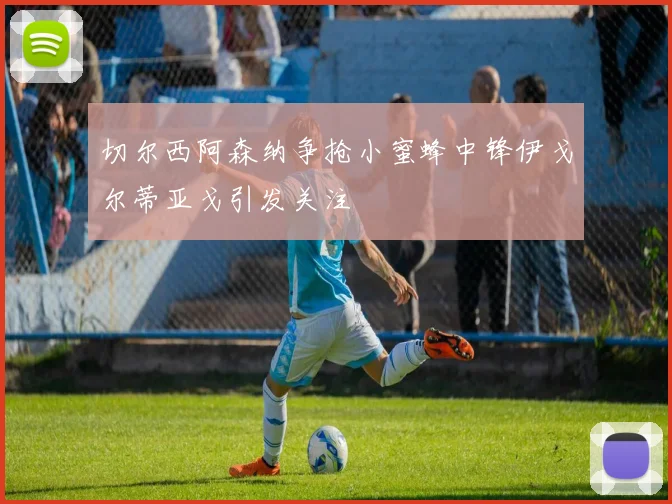切尔西阿森纳争抢小蜜蜂中锋伊戈尔蒂亚戈引发关注