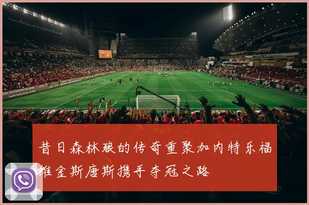 昔日森林狼的传奇重聚加内特乐福维金斯唐斯携手夺冠之路